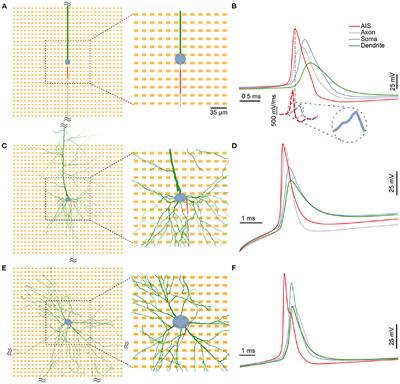 Tracking axon initial segment plasticity using high-density microelectrode arrays: A computational study